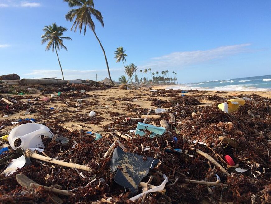 Plastic waste on the sea beach