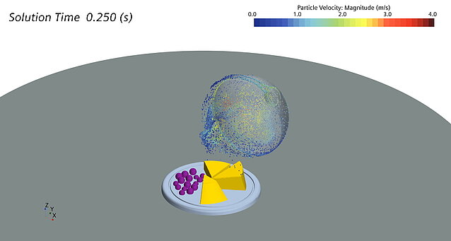 Merkle CAE Solutions figure Particle movement after uncovering