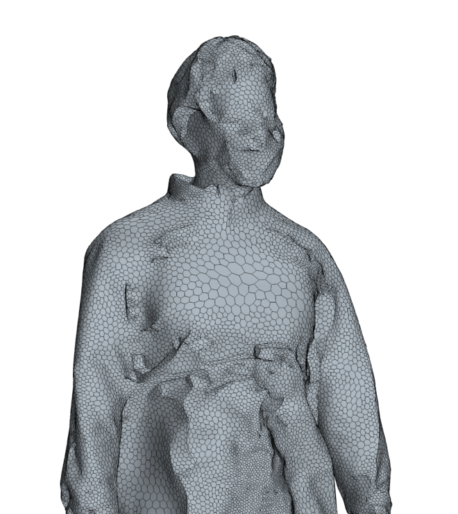 Detail of a computational mesh for calculating the motion of a person including clothing, in the context of a simulation.