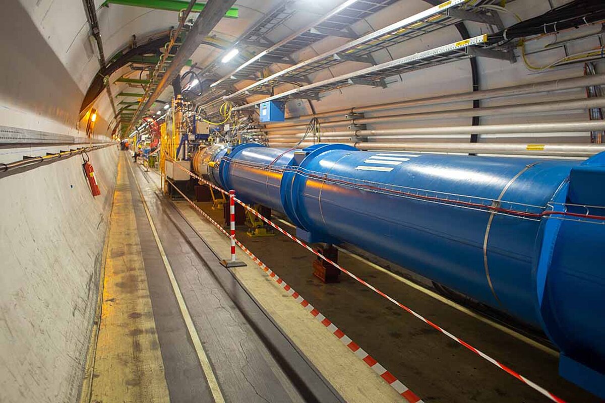 Merkle Partner CERN and breakfast rolls